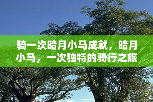 骑一次暗月小马成就,暗月小马,一次独特的骑行之旅 骑一次暗月小马成就,暗月小马,一次独特的骑行之旅