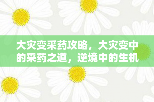 大灾变采药攻略,大灾变中的采药之道,逆境中的生机探寻 大灾变采药攻略,大灾变中的采药之道,逆境中的生机探寻