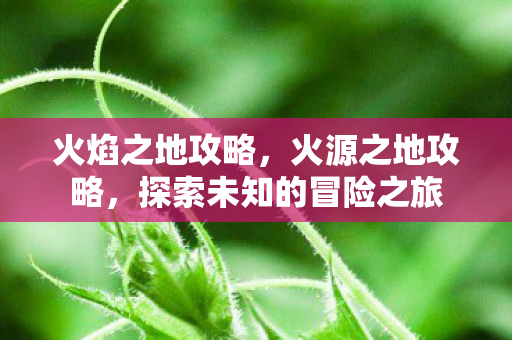火焰之地攻略,火源之地攻略,探索未知的冒险之旅 火焰之地攻略,火源之地攻略,探索未知的冒险之旅