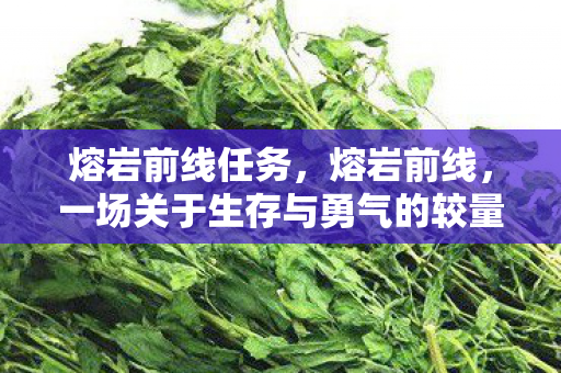 熔岩前线任务,熔岩前线,一场关于生存与勇气的较量 熔岩前线任务,熔岩前线,一场关于生存与勇气的较量