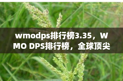 wmodps排行榜3.35,WMO DPS排行榜,全球顶尖玩家的实力较量 wmodps排行榜3.35,WMO DPS排行榜,全球顶尖玩家的实力较量