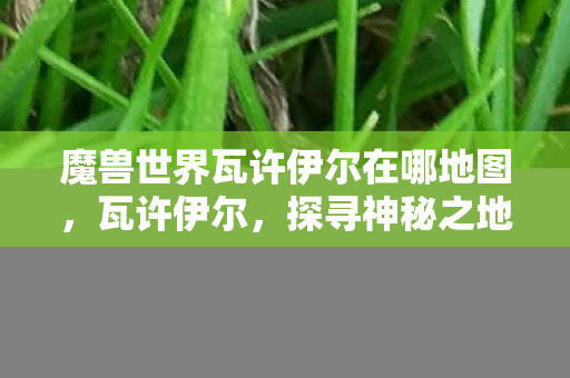 魔兽世界瓦许伊尔在哪地图,瓦许伊尔,探寻神秘之地的独特魅力 魔兽世界瓦许伊尔在哪地图,瓦许伊尔,探寻神秘之地的独特魅力
