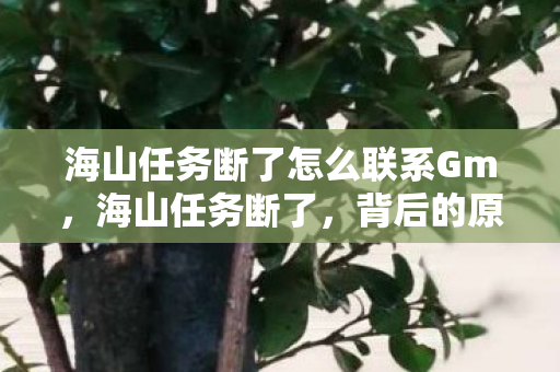 海山任务断了怎么联系Gm，海山任务断了，背后的原因与未来展望