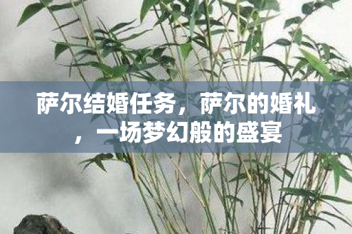 萨尔结婚任务,萨尔的婚礼,一场梦幻般的盛宴 萨尔结婚任务,萨尔的婚礼,一场梦幻般的盛宴