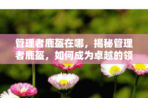 管理者鹿盔在哪,揭秘管理者鹿盔,如何成为卓越的领导者? 管理者鹿盔在哪,揭秘管理者鹿盔,如何成为卓越的领导者?