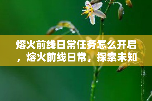 熔火前线日常任务怎么开启,熔火前线日常,探索未知世界的冒险篇章 熔火前线日常任务怎么开启,熔火前线日常,探索未知世界的冒险篇章
