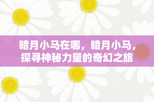 暗月小马在哪,暗月小马,探寻神秘力量的奇幻之旅 暗月小马在哪,暗月小马,探寻神秘力量的奇幻之旅