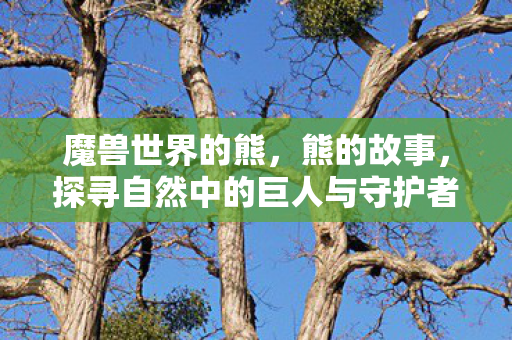魔兽世界的熊,熊的故事,探寻自然中的巨人与守护者 魔兽世界的熊,熊的故事,探寻自然中的巨人与守护者