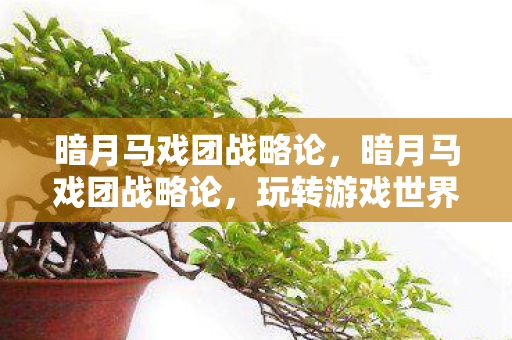 暗月马戏团战略论,暗月马戏团战略论,玩转游戏世界的攻略秘籍 暗月马戏团战略论,暗月马戏团战略论,玩转游戏世界的攻略秘籍