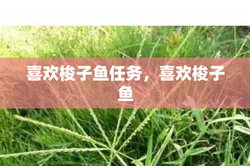 喜欢梭子鱼任务,喜欢梭子鱼 喜欢梭子鱼任务,喜欢梭子鱼