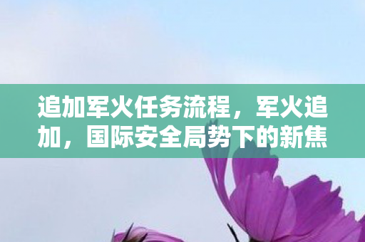 追加军火任务流程，军火追加，国际安全局势下的新焦点