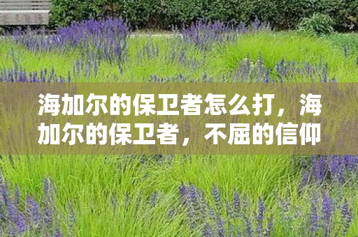 海加尔的保卫者怎么打,海加尔的保卫者,不屈的信仰与荣耀之战 海加尔的保卫者怎么打,海加尔的保卫者,不屈的信仰与荣耀之战