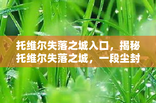 托维尔失落之城入口,揭秘托维尔失落之城,一段尘封的历史之谜 托维尔失落之城入口,揭秘托维尔失落之城,一段尘封的历史之谜