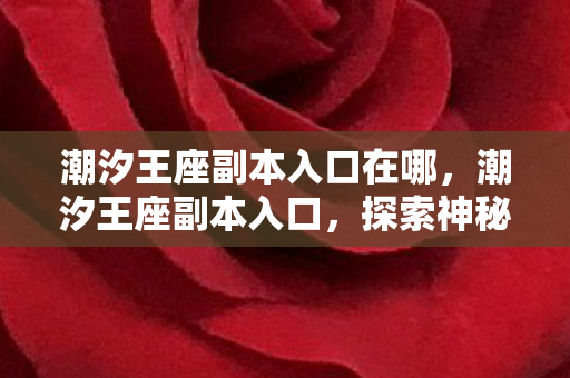潮汐王座副本入口在哪,潮汐王座副本入口,探索神秘世界的冒险之旅 潮汐王座副本入口在哪,潮汐王座副本入口,探索神秘世界的冒险之旅