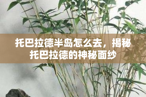 托巴拉德半岛怎么去，揭秘托巴拉德的神秘面纱