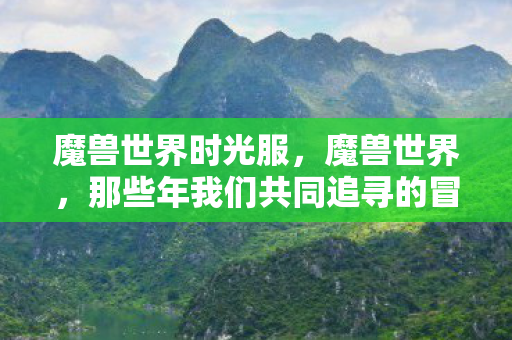 魔兽世界时光服,魔兽世界,那些年我们共同追寻的冒险与荣耀 魔兽世界时光服,魔兽世界,那些年我们共同追寻的冒险与荣耀