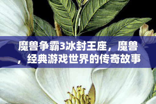 魔兽争霸3冰封王座，魔兽，经典游戏世界的传奇故事