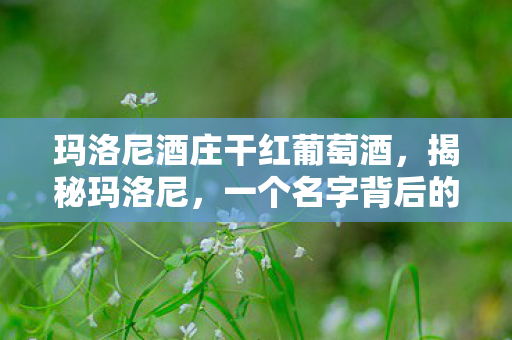 玛洛尼酒庄干红葡萄酒,揭秘玛洛尼,一个名字背后的故事 玛洛尼酒庄干红葡萄酒,揭秘玛洛尼,一个名字背后的故事
