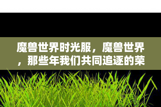魔兽世界时光服,魔兽世界,那些年我们共同追逐的荣耀与情怀 魔兽世界时光服,魔兽世界,那些年我们共同追逐的荣耀与情怀
