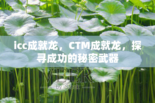 icc成就龙,CTM成就龙,探寻成功的秘密武器 icc成就龙,CTM成就龙,探寻成功的秘密武器
