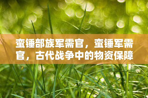 蛮锤部族军需官,蛮锤军需官,古代战争中的物资保障大师 蛮锤部族军需官,蛮锤军需官,古代战争中的物资保障大师