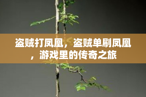 盗贼打凤凰，盗贼单刷凤凰，游戏里的传奇之旅