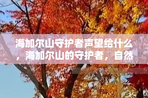 海加尔山守护者声望给什么,海加尔山的守护者,自然与力量的永恒交汇 海加尔山守护者声望给什么,海加尔山的守护者,自然与力量的永恒交汇