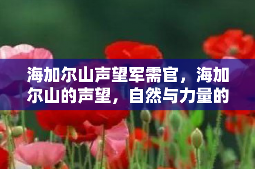 海加尔山声望军需官，海加尔山的声望，自然与力量的传奇
