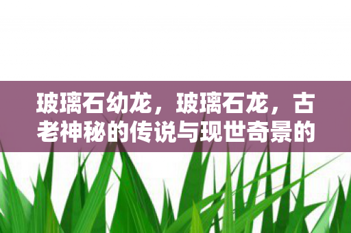 玻璃石幼龙,玻璃石龙,古老神秘的传说与现世奇景的交融 玻璃石幼龙,玻璃石龙,古老神秘的传说与现世奇景的交融