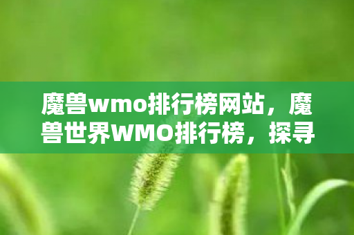魔兽wmo排行榜网站,魔兽世界WMO排行榜,探寻顶尖玩家的荣耀战场 魔兽wmo排行榜网站,魔兽世界WMO排行榜,探寻顶尖玩家的荣耀战场