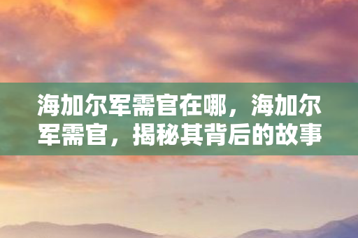海加尔军需官在哪,海加尔军需官,揭秘其背后的故事与职责 海加尔军需官在哪,海加尔军需官,揭秘其背后的故事与职责