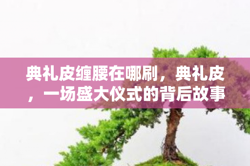 典礼皮缠腰在哪刷,典礼皮,一场盛大仪式的背后故事 典礼皮缠腰在哪刷,典礼皮,一场盛大仪式的背后故事