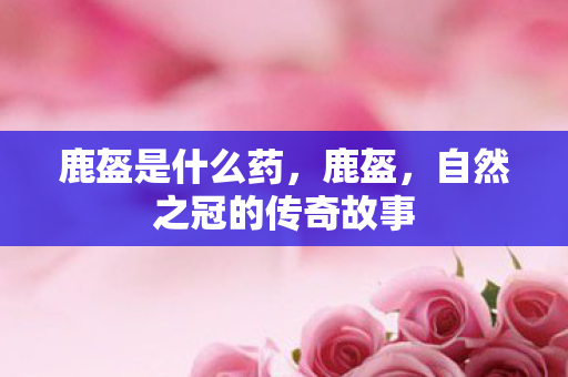 鹿盔是什么药,鹿盔,自然之冠的传奇故事 鹿盔是什么药,鹿盔,自然之冠的传奇故事