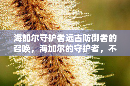 海加尔守护者远古防御者的召唤,海加尔的守护者,不屈的荣耀与信仰 海加尔守护者远古防御者的召唤,海加尔的守护者,不屈的荣耀与信仰