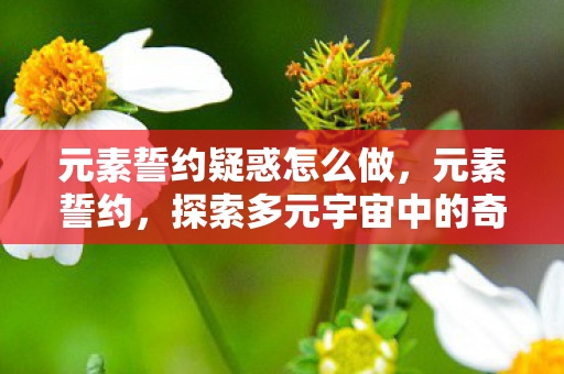 元素誓约疑惑怎么做,元素誓约,探索多元宇宙中的奇幻元素与神秘力量 元素誓约疑惑怎么做,元素誓约,探索多元宇宙中的奇幻元素与神秘力量