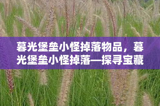 暮光堡垒小怪掉落物品,暮光堡垒小怪掉落—探寻宝藏的秘密 暮光堡垒小怪掉落物品,暮光堡垒小怪掉落—探寻宝藏的秘密