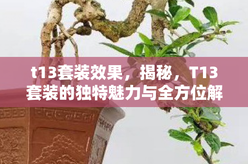 t13套装效果,揭秘,T13套装的独特魅力与全方位解析 t13套装效果,揭秘,T13套装的独特魅力与全方位解析
