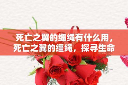 死亡之翼的缰绳有什么用,死亡之翼的缰绳,探寻生命与命运的交织之谜 死亡之翼的缰绳有什么用,死亡之翼的缰绳,探寻生命与命运的交织之谜