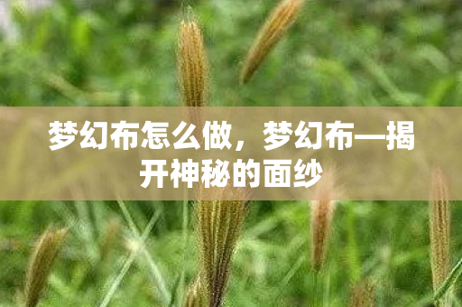 梦幻布怎么做,梦幻布—揭开神秘的面纱 梦幻布怎么做,梦幻布—揭开神秘的面纱