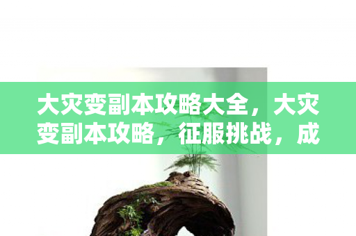 大灾变副本攻略大全,大灾变副本攻略,征服挑战,成为真正的英雄! 大灾变副本攻略大全,大灾变副本攻略,征服挑战,成为真正的英雄!