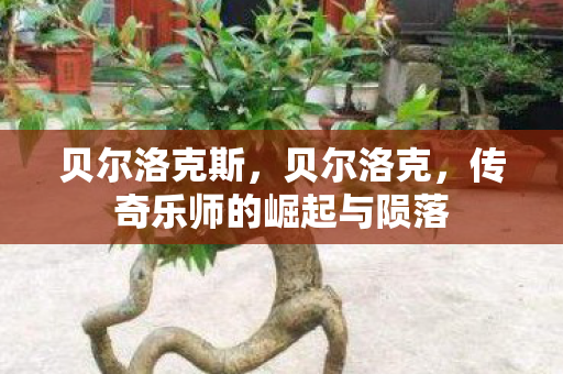 贝尔洛克斯,贝尔洛克,传奇乐师的崛起与陨落 贝尔洛克斯,贝尔洛克,传奇乐师的崛起与陨落