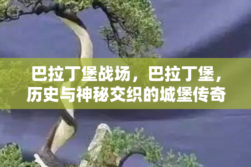 巴拉丁堡战场,巴拉丁堡,历史与神秘交织的城堡传奇 巴拉丁堡战场,巴拉丁堡,历史与神秘交织的城堡传奇