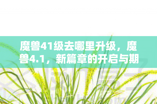 魔兽41级去哪里升级,魔兽4.1,新篇章的开启与期待已久的新冒险 魔兽41级去哪里升级,魔兽4.1,新篇章的开启与期待已久的新冒险