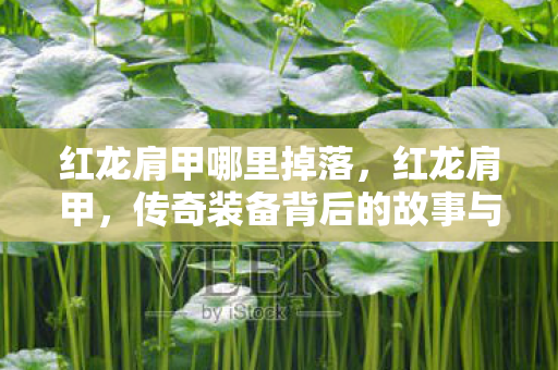 红龙肩甲哪里掉落,红龙肩甲,传奇装备背后的故事与荣耀 红龙肩甲哪里掉落,红龙肩甲,传奇装备背后的故事与荣耀