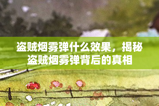 盗贼烟雾弹什么效果,揭秘盗贼烟雾弹背后的真相 盗贼烟雾弹什么效果,揭秘盗贼烟雾弹背后的真相