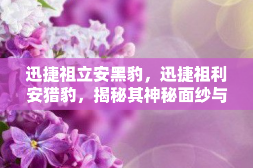 迅捷祖立安黑豹,迅捷祖利安猎豹,揭秘其神秘面纱与独特魅力 迅捷祖立安黑豹,迅捷祖利安猎豹,揭秘其神秘面纱与独特魅力