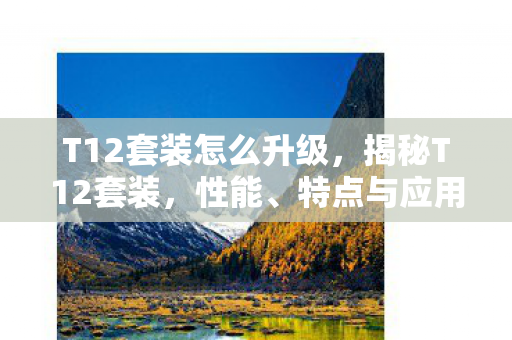 T12套装怎么升级,揭秘T12套装,性能、特点与应用领域全面解析 T12套装怎么升级,揭秘T12套装,性能、特点与应用领域全面解析