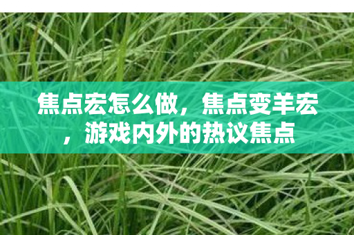 焦点宏怎么做,焦点变羊宏,游戏内外的热议焦点 焦点宏怎么做,焦点变羊宏,游戏内外的热议焦点