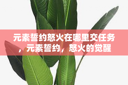 元素誓约怒火在哪里交任务,元素誓约,怒火的觉醒 元素誓约怒火在哪里交任务,元素誓约,怒火的觉醒