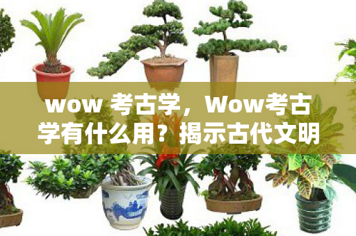 wow 考古学,Wow考古学有什么用?揭示古代文明的秘密与宝藏 wow 考古学,Wow考古学有什么用?揭示古代文明的秘密与宝藏